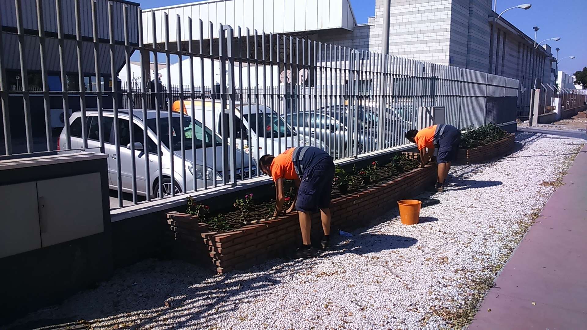 NUEVAS FLORES JARDINERAS