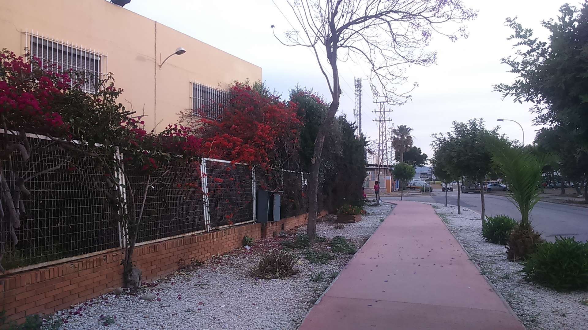 PODAS VALLADOS DESPUES