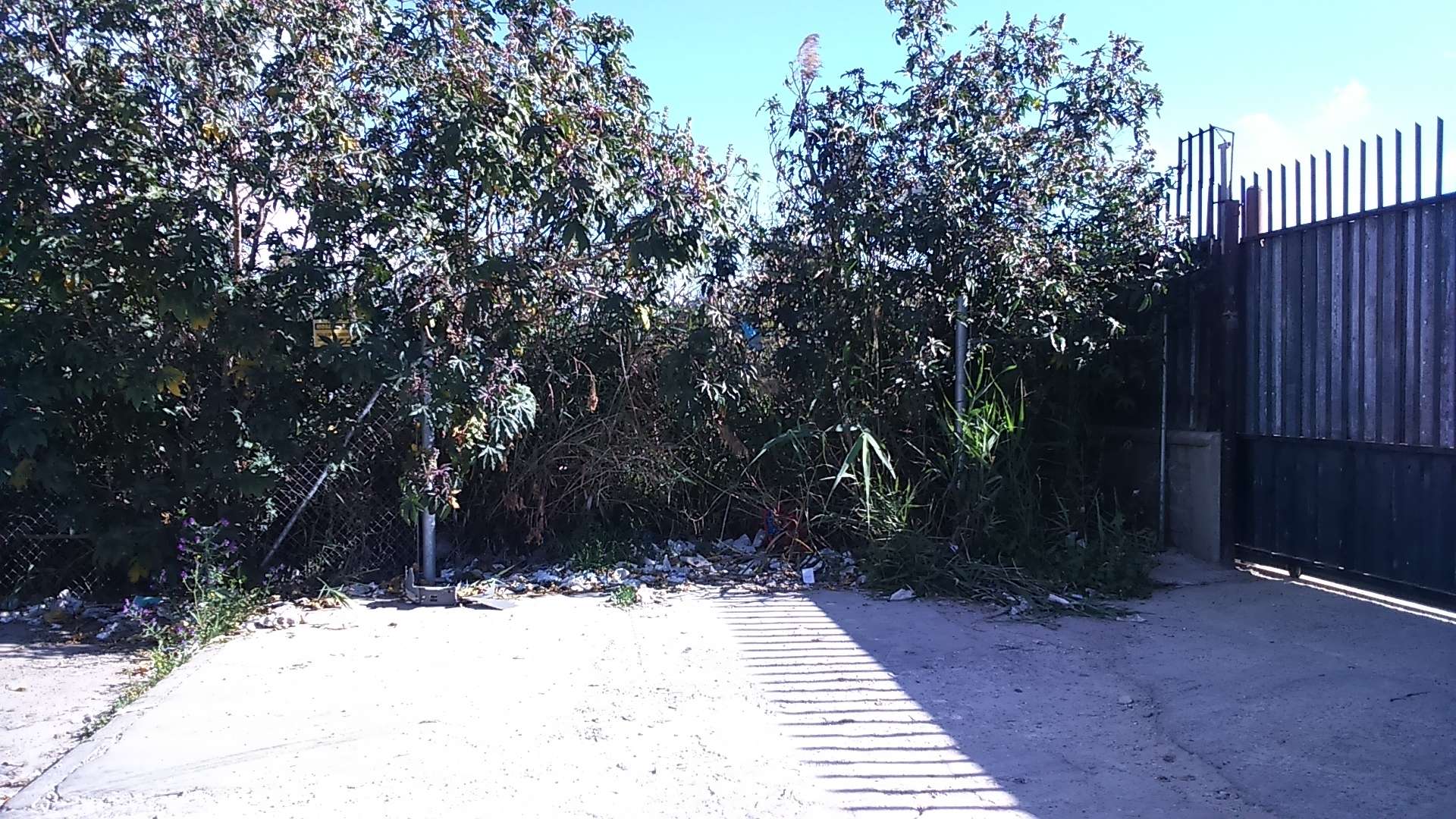 PUERTA EDUARDO QUEIPO DE LLANO CABALLERO ROBADA